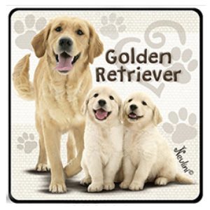 Kutyás hűtőmágnes, Golden Retriever Kutyás hűtőmágnes, Golden Retriever