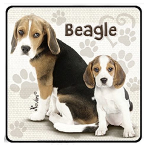 Kutyás hűtőmágnes, Beagle