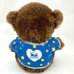 Plüss maci, Mama kedvenc kis unokája, fiú