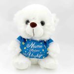 Plüss maci, Mama kedvenc kis unokája, fiú