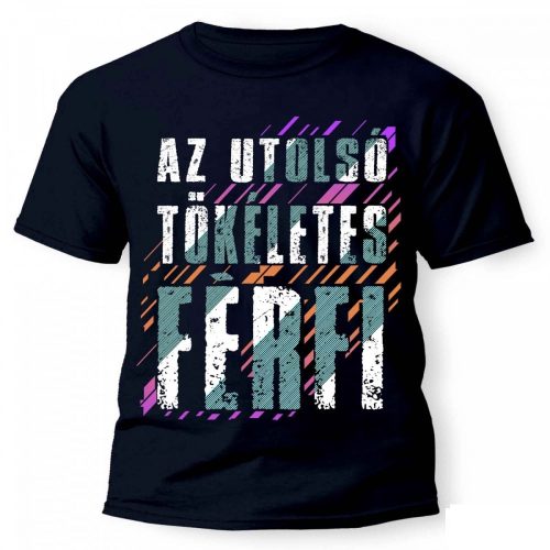 Vicces póló több színben, az utolsó tökéletes férfi