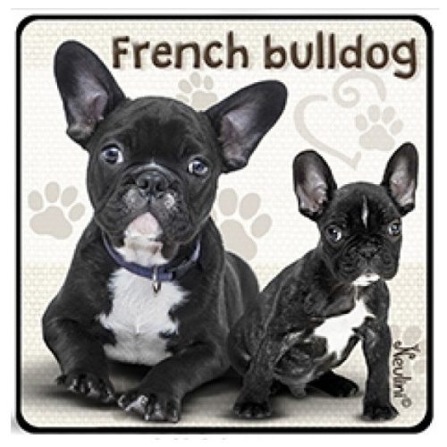Kutyás hűtőmágnes, French Bulldog