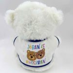 Plüss maci, Legjobb barátok örökké