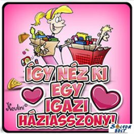 Vicces hűtőmágnes, Így néz ki egy igazi háziasszony