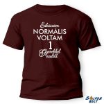 Vicces póló több színben, Esküszöm normális voltam 1,2,3 gyerekkel ezelőtt