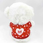 Plüss maci, Boldog évfordulót