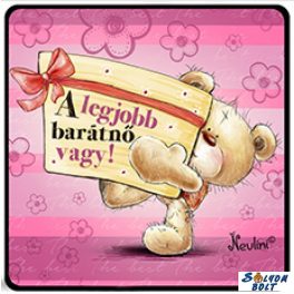 Hűtőmágnes, A legjobb barátnő vagy