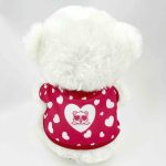 Plüss maci, Szeretlek