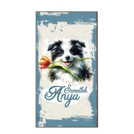 Dekor hűtőmágnes, anyák napja, Border Colie
