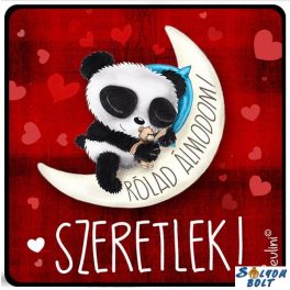   Szerelmes hűtőmágnes, Rólad álmodom, szeretlek, panda maci