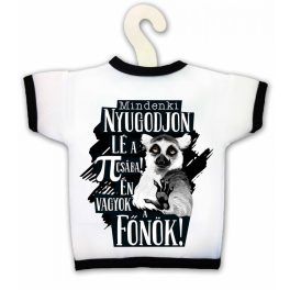 Üvegpóló, Mindenki nyugodjon le, én vagyok a főnök