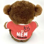 Plüss maci, Ma igen drágám, ma nem drágám