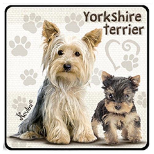 Kutyás hűtőmágnes, Yorkshire Terrier