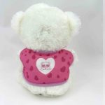 Plüss maci, Imádom a barátnőm