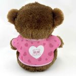 Plüss maci, Imádom a barátnőm