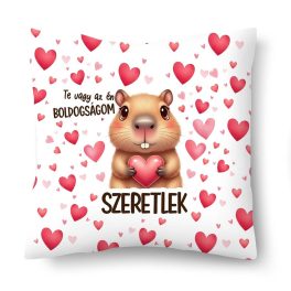 Kicsi díszpárna, Te vagy az én boldogságom