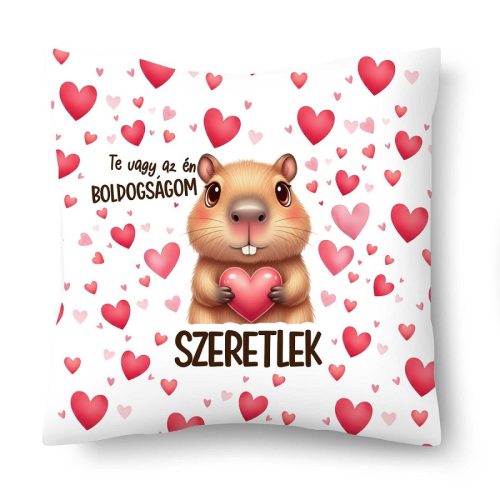 Kicsi díszpárna, Te vagy az én boldogságom