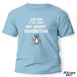   Vicces póló több színben, Soha nem ittam többet, mint amennyit megkívántam