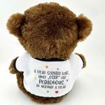 Plüss maci, Legjobb tanár