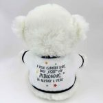 Plüss maci, Legjobb tanár