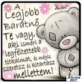 Hűtőmágnes, A legjobb barátnő te vagy