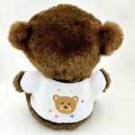 Plüss maci, Legjobb osztályfőnök