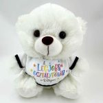 Plüss maci, Legjobb osztályfőnök