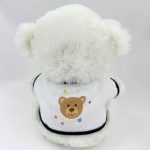 Plüss maci, Legjobb osztályfőnök