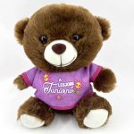 Plüss maci, Legjobb tanárnő