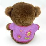 Plüss maci, Legjobb tanárnő