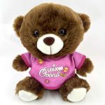 Plüss maci, Legjobb óvónő