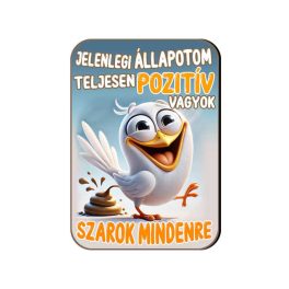   Fa hűtőmágnes, Jelenlegi állapotom, teljesen pozitív vagyok
