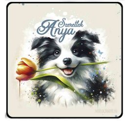Hűtőmágnes, Anyák napja, Border Colie