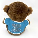 Plüss maci, Ballagásod alkalmából szeretettel