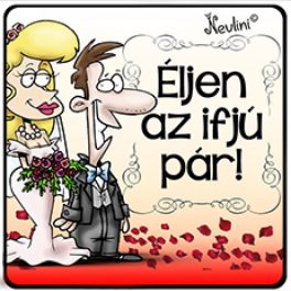 Esküvő, legénybúcsú, lánybúcsú, tejfakasztó