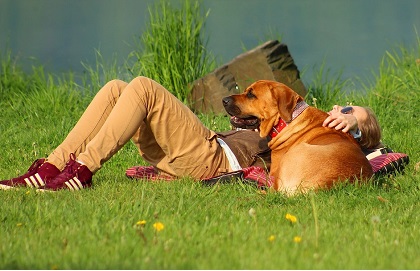 Miért szeretjük a kutyákat?