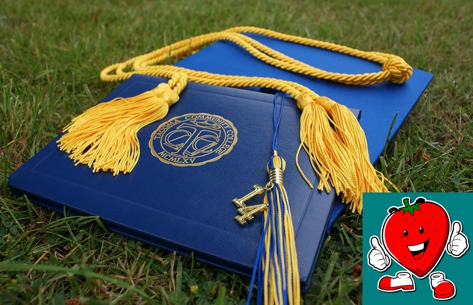 Vicces bizonyítványok